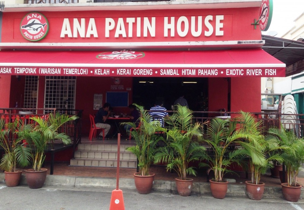 The front of Ana Patin House