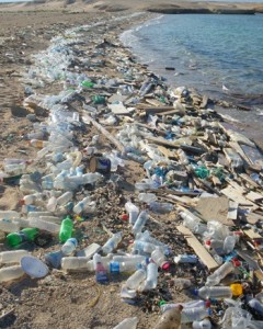 A pastic littered beach. Pix from commons wikimedia.