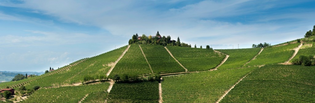 Steep slopes of the Il Bricco vineyard in Alba